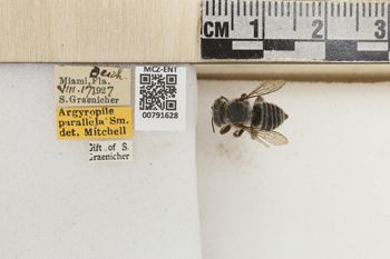 Media type: image;   Entomology 791628 Aspect: Labels